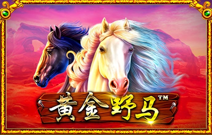 华体育网页版